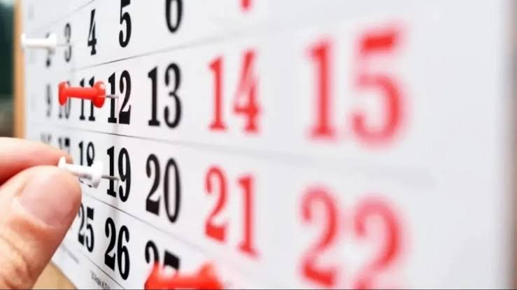 Noviembre tendrá dos fines de semana largos: cuándo son y qué feriados habrá